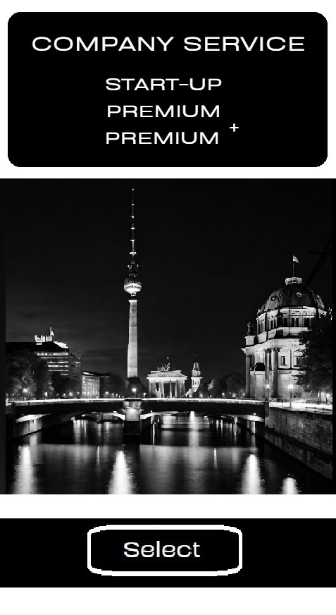 GERMAN DIGITAL ASSETS